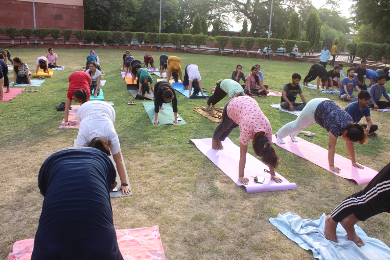 yoga day